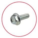 Flange Head Screw Flange Head Screw